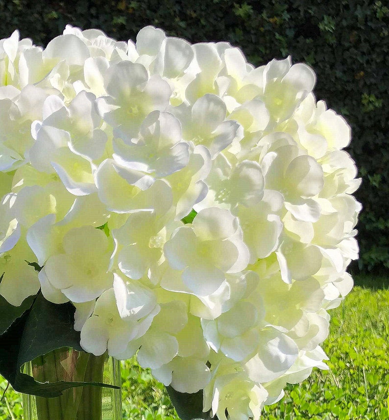 Cream Silk Hydrangea Bouquet Ivory Party Home Decor Office Etsy