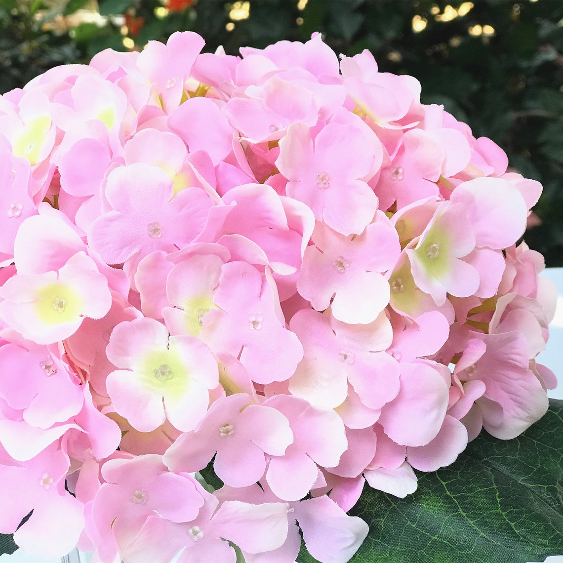 Enova Home 7 Steams Hydrangea Silk Flower in Clear Glass Vase Etsy