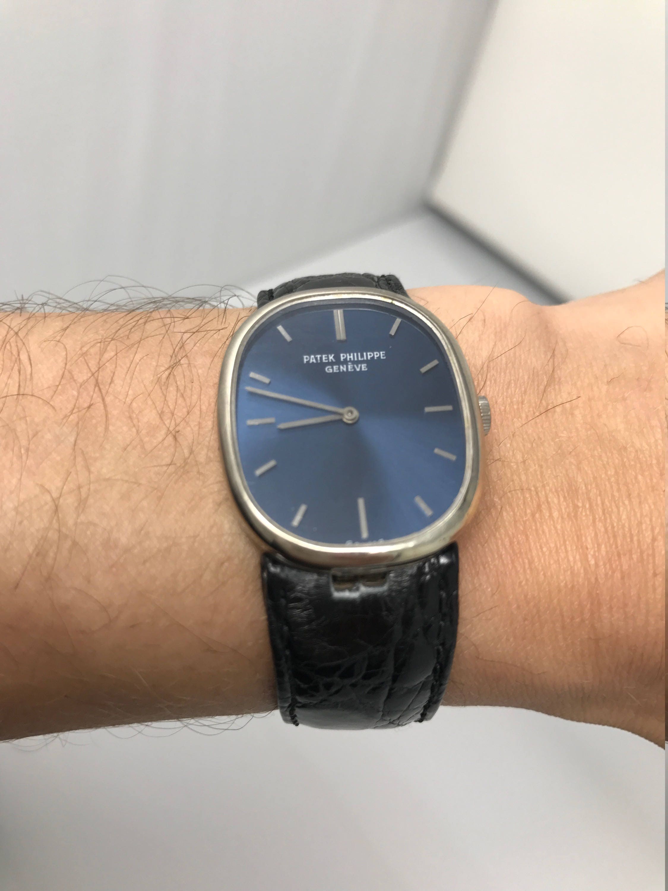 patek philippe ellipse