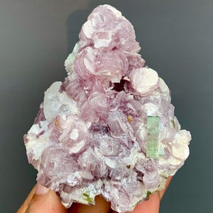 May include: A cluster of pink lepidolite crystals with a layered, fan-like structure. The mineral formation has a light purple hue with hints of green and white, creating a natural, textured appearance. The crystals are held by a hand.
