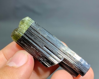 May include: A raw tourmaline crystal, held in a hand. The gemstone has a dark, almost black body with a green top. The crystal's surface has a striated texture, highlighting its natural form and colour variations. The background is a neutral grey.