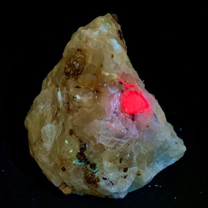 Könnte beinhalten: Ein raues, hell gefärbtes Mineralexemplar mit einem leuchtend roten Abschnitt. Der Stein hat eine kristalline Struktur mit dunkelbraunen und grünen Einschlüssen. Der Hintergrund ist schwarz und hebt die Textur und Farbvariationen des Minerals hervor.