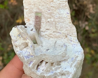 Bi-Color Tourmaline Crystal with Albite, Natural Mineral Specimen, Afghanistan 195 gm