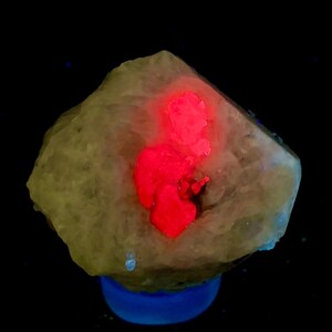 Puede incluir: Primer plano de un espécimen mineral con un exterior beige y un interior rojo vibrante. El mineral se asienta sobre una base azul sobre un fondo negro. La sección roja brilla intensamente, creando un contraste llamativo.