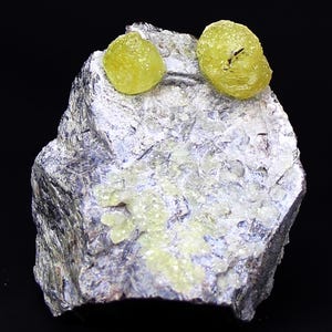 May include: A close-up of a mineral specimen featuring a light gray rock base with yellow, spherical crystal formations. The crystals are clustered on the rock's surface, with two larger, rounded crystals on top.