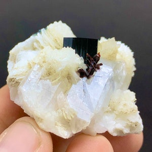 Natural Blue Cap Tourmaline With Rare Red Tantalite Bunch and Quartz from Skardu Pakistan, blue cap Tourmaline With Red Tantalite / 325 CT