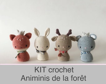 Kit hook the Ani-minis animals of the forest, kit blanket, tutorial and equipment animals crochet