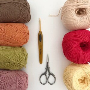 May include: Six balls of yarn in various colors, including brown, orange, green, pink, beige, and red, are arranged in a row. A crochet hook and a pair of scissors are also included in the image.