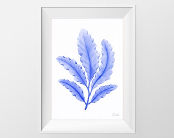 Blauwe zeewier aquarel print, nautische illustratie, hedendaagse print, strand muur decor, Hamptons wall art, digitale download