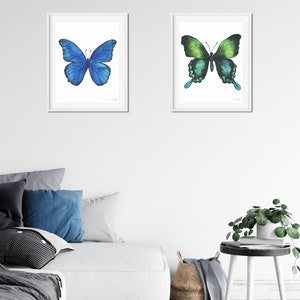 Puede incluir: Dos pinturas de acuarela enmarcadas de mariposas. La mariposa de la izquierda es azul y la mariposa de la derecha es verde. Ambas mariposas est&aacute;n en vuelo.