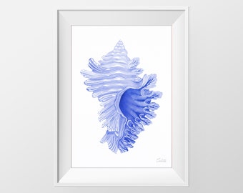Blauwe Murex Shell Aquarel Print, Nautische Illustratie, Hedendaagse Print, Beach Wall Decor, Hamptons Wall Art, DIGITALE DOWNLOAD