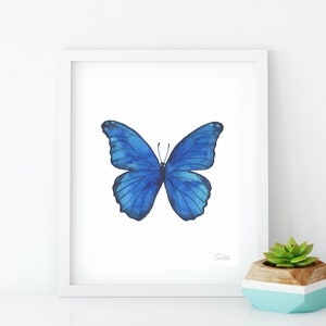 Puede incluir: Una pintura de acuarela de una mariposa azul con las alas extendidas. La mariposa est&aacute; centrada en un fondo blanco y est&aacute; enmarcada en un marco blanco.