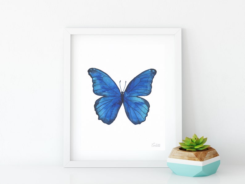 Puede incluir: Una pintura de acuarela de una mariposa azul con las alas extendidas. La mariposa est&aacute; centrada en un fondo blanco y est&aacute; enmarcada en un marco blanco.