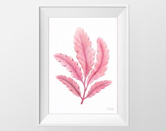 Rode zeewier aquarel print, nautische illustratie, hedendaagse print, strand muur decor, hamptons kunst aan de muur, digitale download