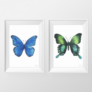 Puede incluir: Dos pinturas de acuarela enmarcadas de mariposas. La mariposa de la izquierda es azul, y la mariposa de la derecha es verde.