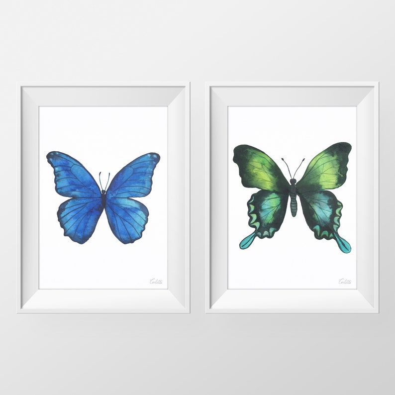 Puede incluir: Dos pinturas de acuarela enmarcadas de mariposas. La mariposa de la izquierda es azul, y la mariposa de la derecha es verde.