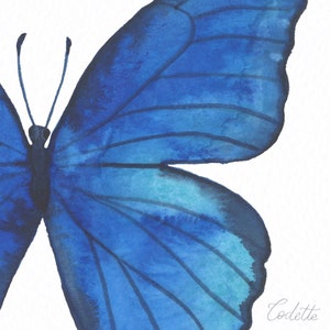 Puede incluir: Una pintura de acuarela de una mariposa azul con las alas extendidas. La mariposa est&aacute; pintada en tonos de azul, con un toque de verde en los bordes de las alas. La mariposa est&aacute; sobre un fondo blanco.