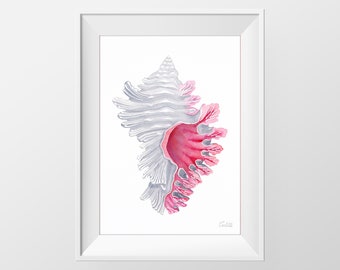 Rode Murex Shell Aquarel Print, Nautische Illustratie, Hedendaagse Print, Beach Wall Decor, Hamptons Wall Art, DIGITALE DOWNLOAD