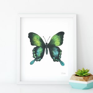 Puede incluir: Una pintura de acuarela enmarcada de una mariposa verde y azul sobre un fondo blanco. La mariposa est&aacute; centrada en el marco y tiene las alas extendidas. La pintura est&aacute; firmada "Candice" en la esquina inferior derecha.