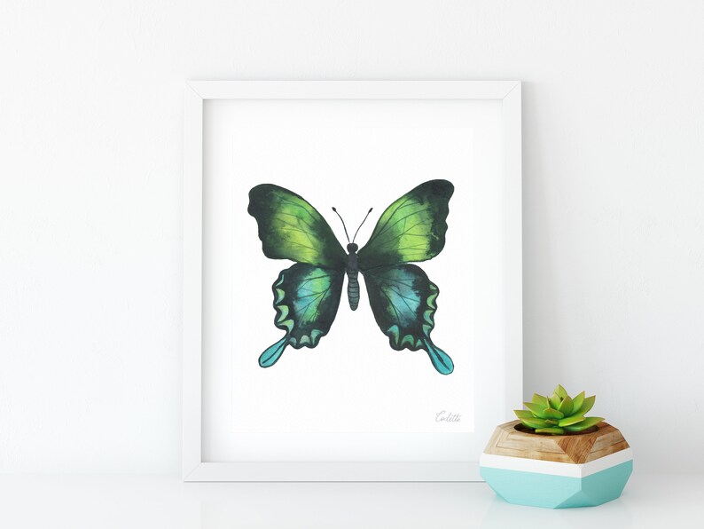 Puede incluir: Una pintura de acuarela enmarcada de una mariposa verde y azul sobre un fondo blanco. La mariposa est&aacute; centrada en el marco y tiene las alas extendidas. La pintura est&aacute; firmada "Candice" en la esquina inferior derecha.