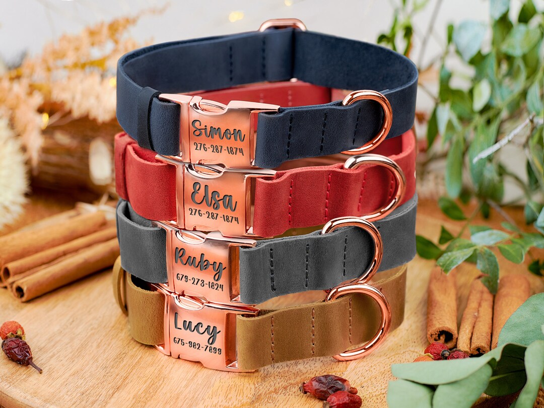 Leather Dog Collar Rose Gold Dog Collar Personalized Pet Etsy