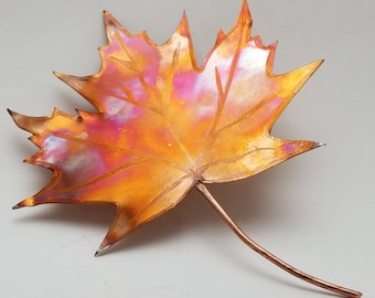 Beautiful Maple leaf