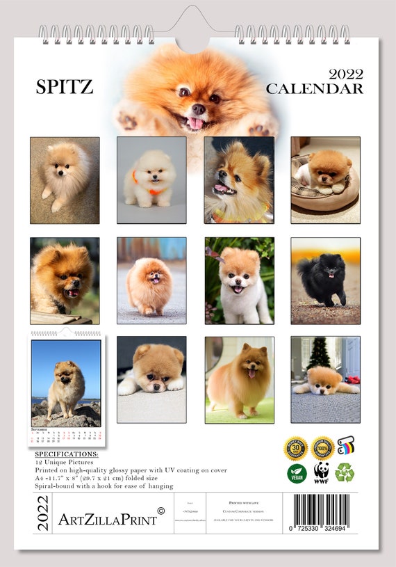 Spitz Wall Calendar 2022 Cute Dog A4 8X11 New | Etsy