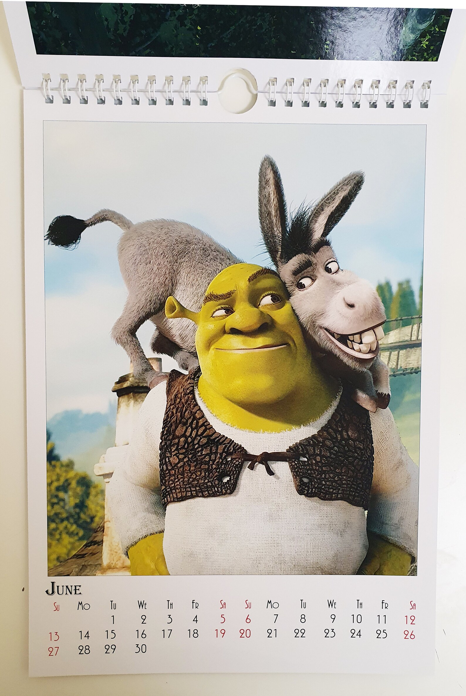 Shrek Wall Calendar 2021 A4 New Sealed Etsy