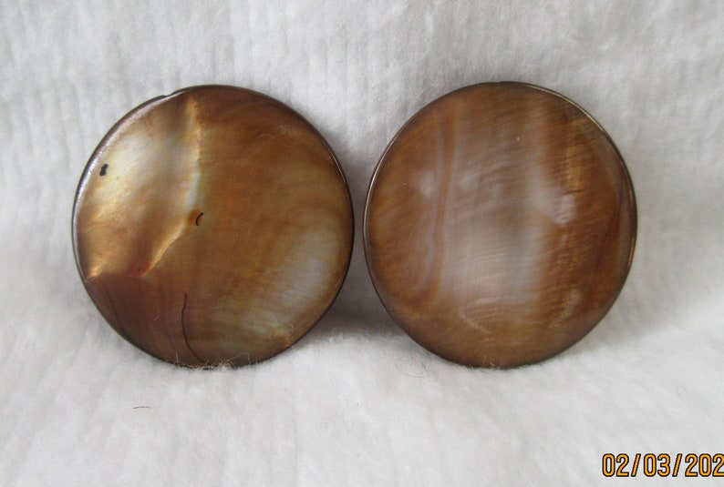 30mm Brown Shell Coins