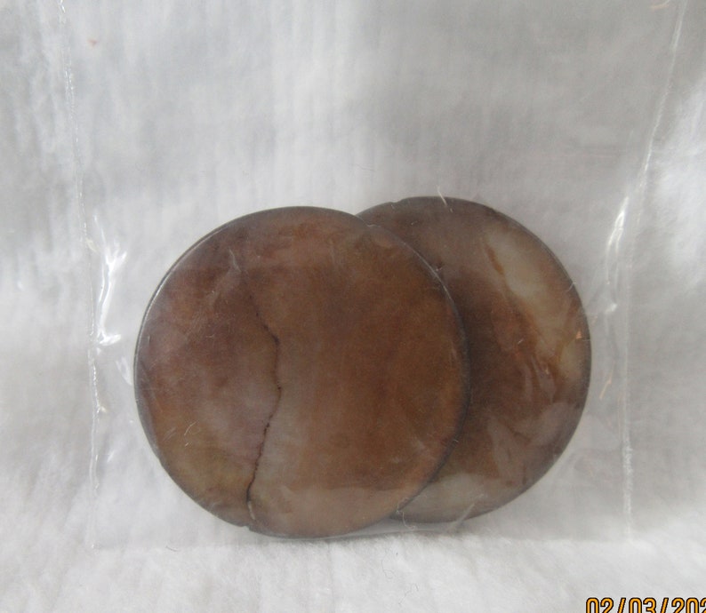 30mm Brown Shell Coins