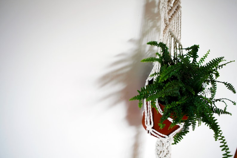 Boho decor macrame plant hanger from natural cotton