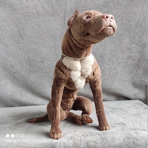 Pitbull Realistic Dog Poseable Art Doll Animal Oak Etsy India