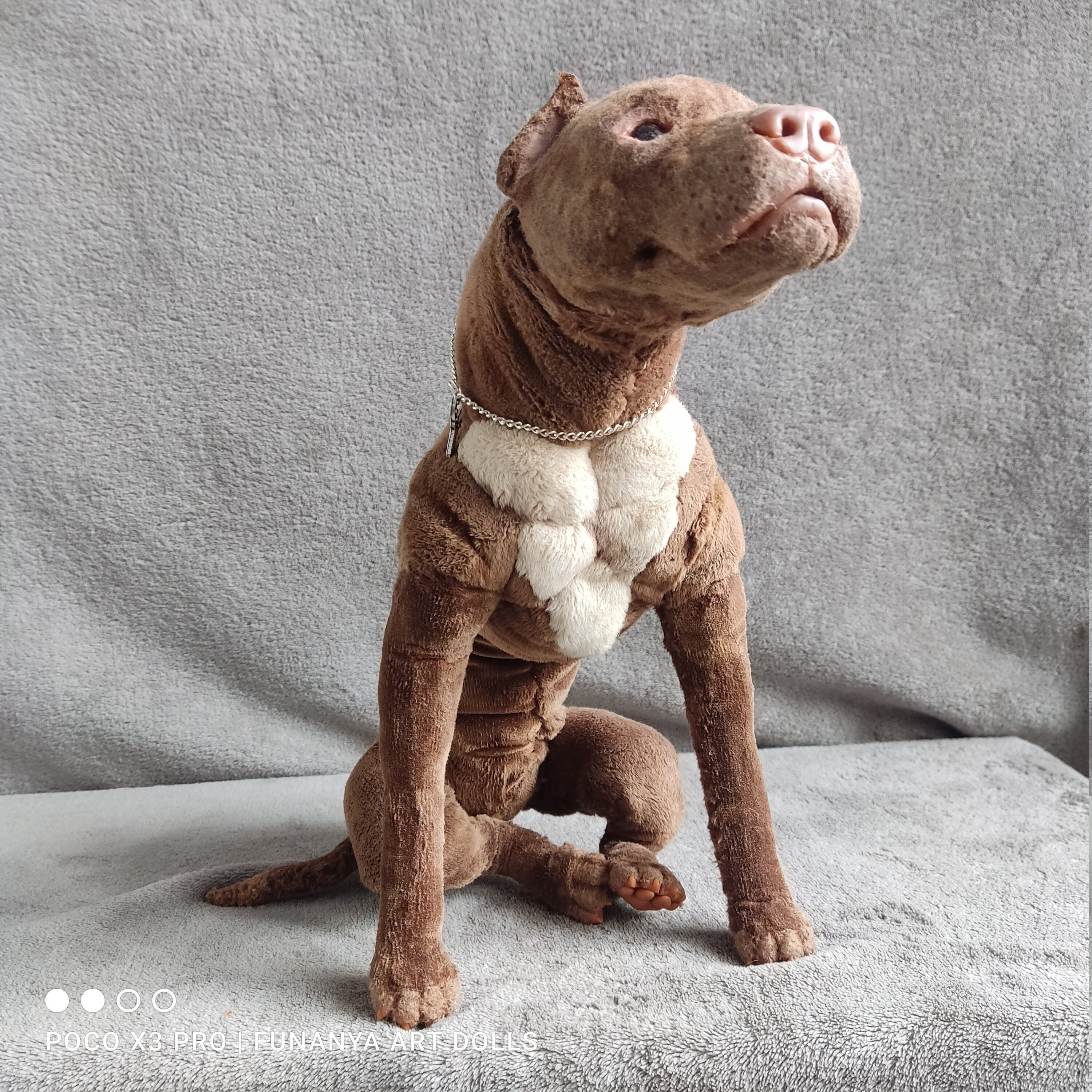 Pitbull Realistic Dog Poseable Art Doll Animal Oak Etsy India