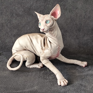 big Sphynx cat, poseable art doll, realistic animal doll