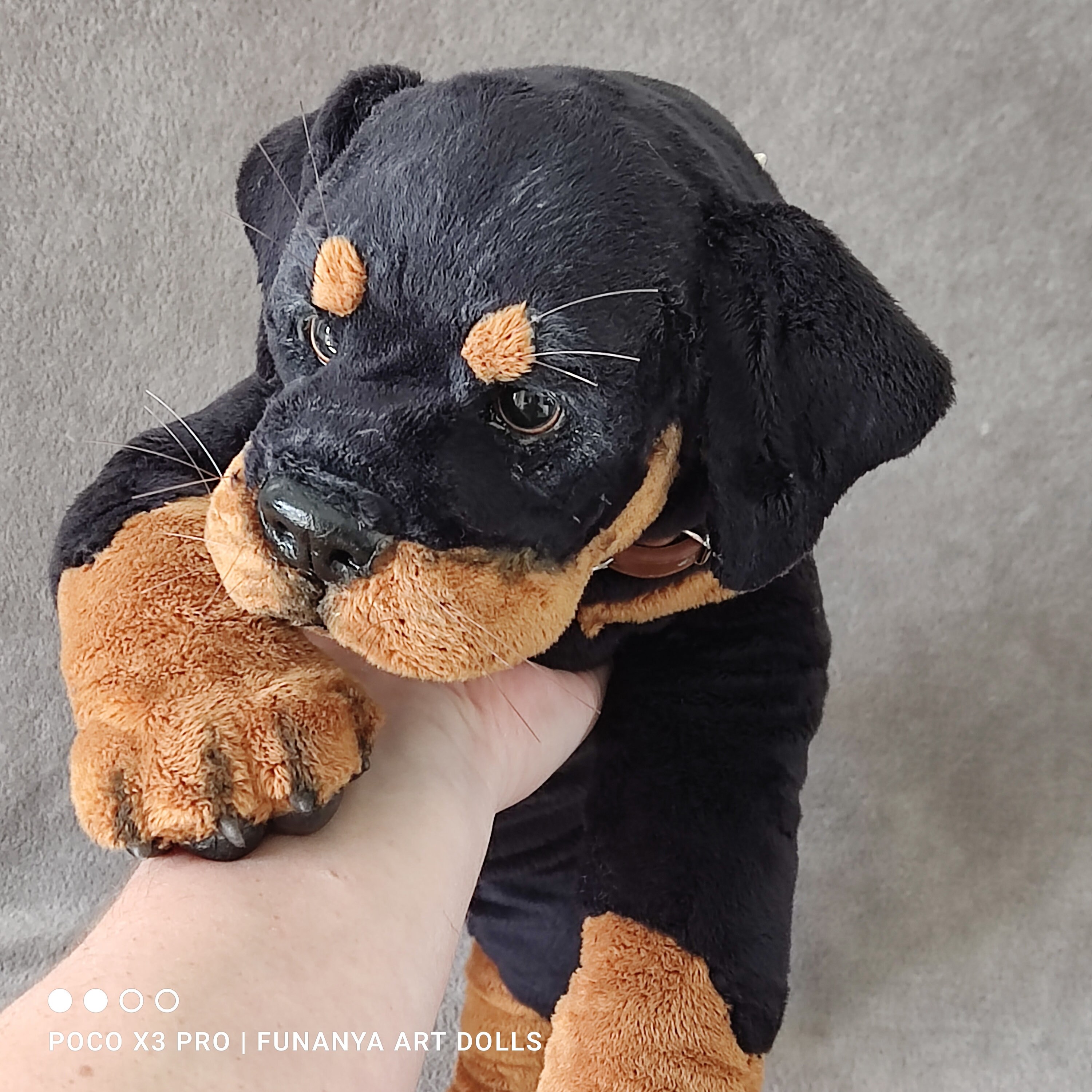 Rottweiler doll top