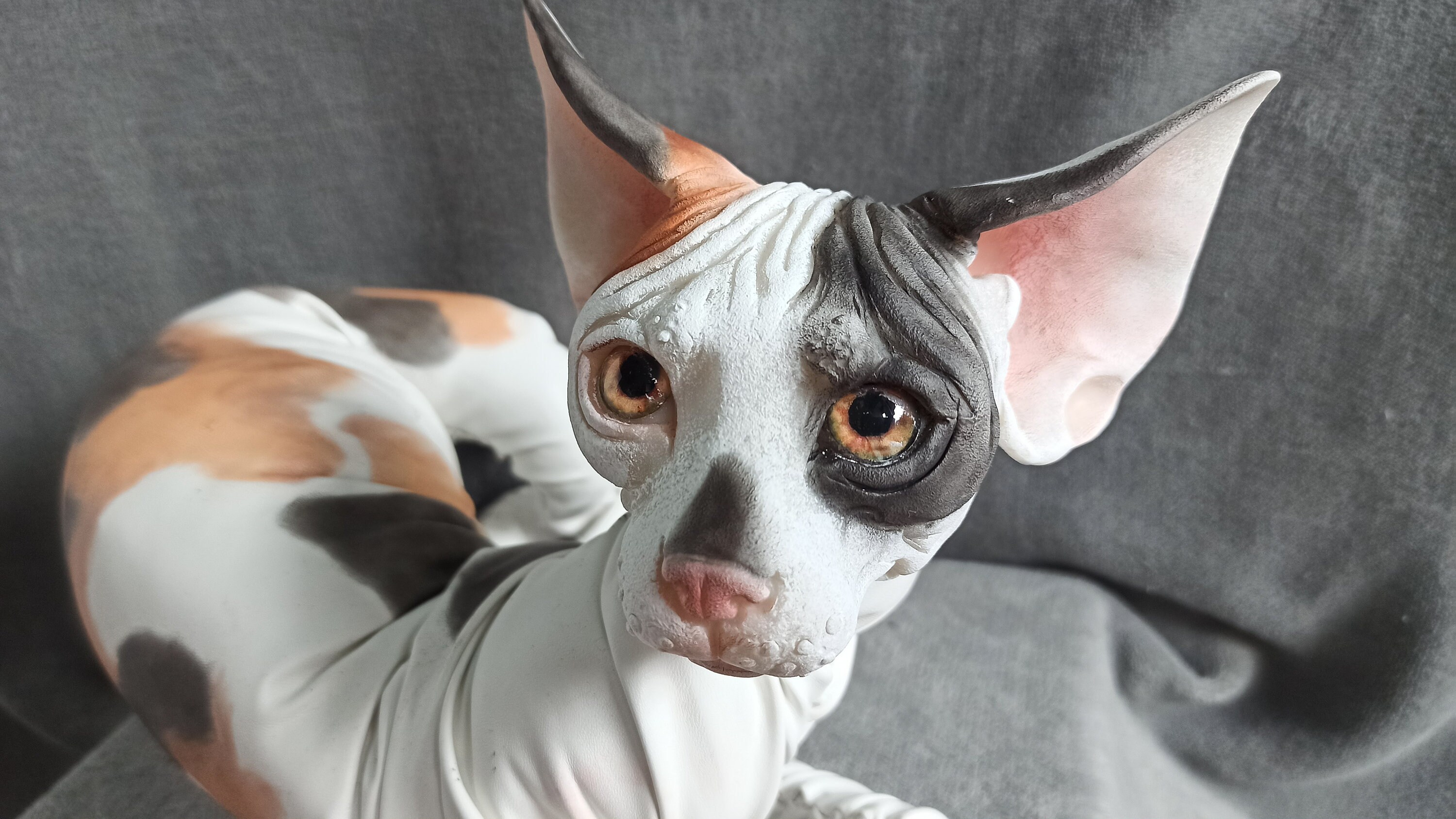 Calico sphynx cat poseable art doll realistic animal doll Etsy