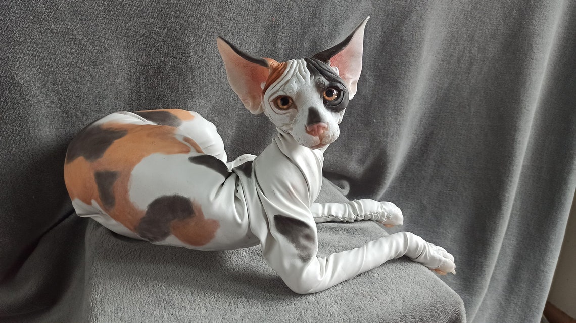 Calico sphynx cat poseable art doll realistic animal doll Etsy