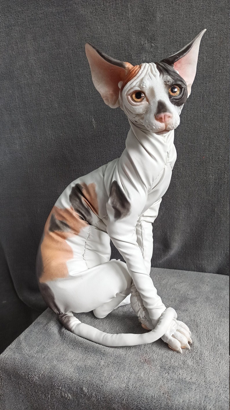 Calico sphynx cat poseable art doll realistic animal doll | Etsy