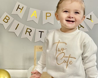 Two Cute Second Birthday Jumper, I am Two, 2, 2nd Birthday Outfit, Sweatshirt, Birthday Gift, Second Birthday Present, Birthday Boy