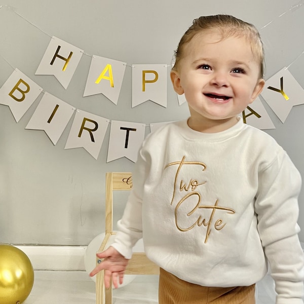 Two Cute Second Birthday Jumper, I am Two, 2, 2nd Birthday Outfit, Sweatshirt, Birthday Gift, Second Birthday Present, Birthday Boy