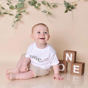 First Birthday Outfit: Embroidered Cotton T-Shirt, One Year Old