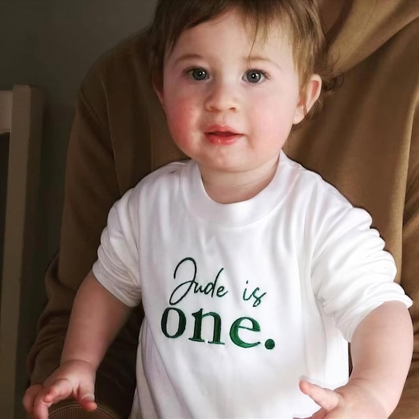 Personalised First Birthday Embroidered Top or Jumper, Choose Your Embroidery Thread Colour, Cake Smash Outfit, 1750