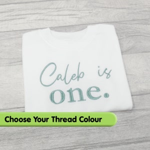 Personalised First Birthday Tshirt, Choose Your Embroidery Thread Colour, 1st Birthday Outfit Gift for One Birthday Party / Cake Smash Photo