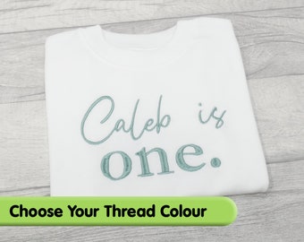 Personalised First Birthday Tshirt, Choose Your Embroidery Thread Colour, 1st Birthday Outfit Gift for One Birthday Party / Cake Smash Photo