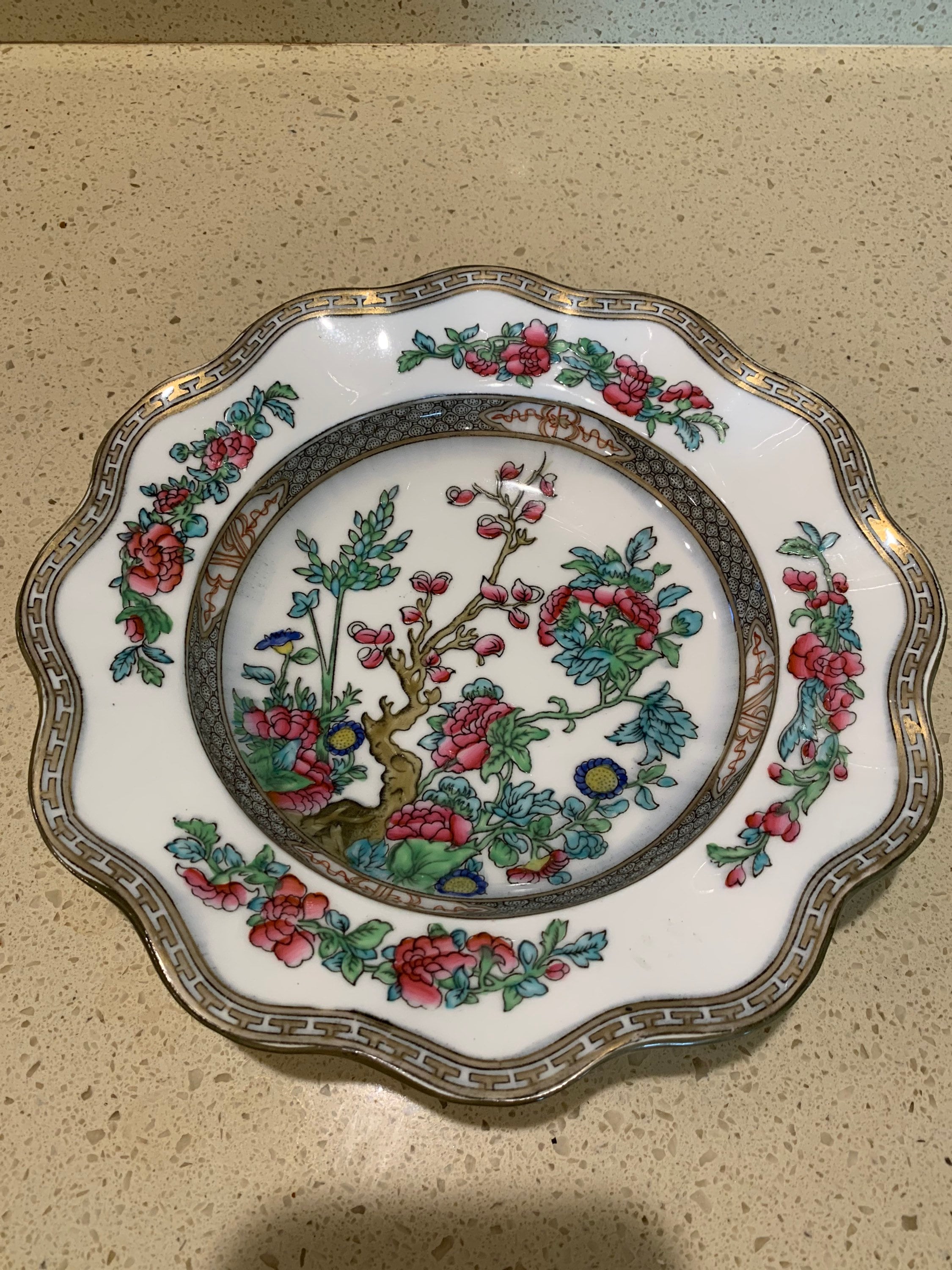 Coalport Indian Tree Hand Colored Transferware Bone China Deep Plate or ...