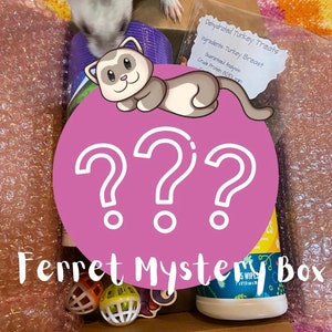 Ferret ‘Mystery Box’