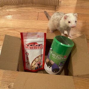 101 ferret games and homemade ferret toys