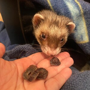 Dehydrated Chicken Heart Treats for Dogs, Cats, and Ferrets image 3