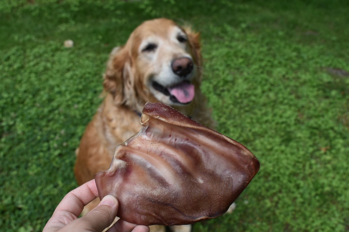 Dehydrierte Schweineohren für Hunde Etsy