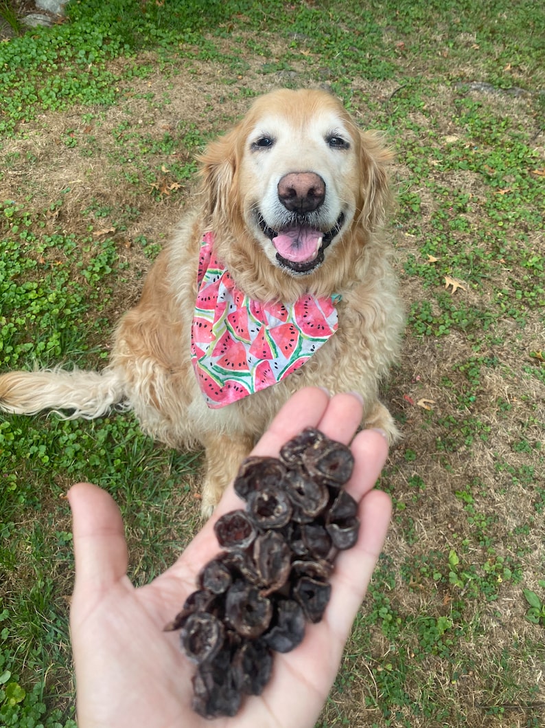 Dehydrated Chicken Heart Treats for Dogs, Cats, and Ferrets image 1